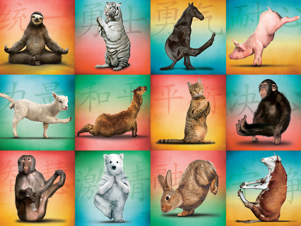 Animal Yoga 500-Piece Puzzle