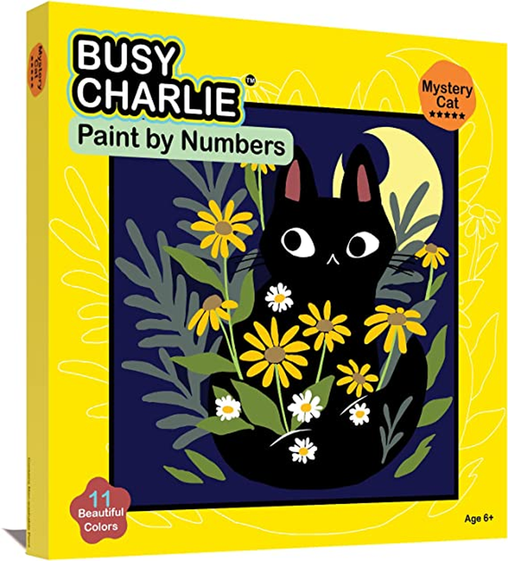 Paint by Numbers Kit for Kids Assortment Mystery Cat