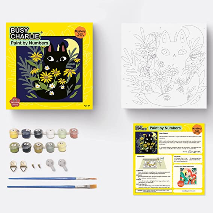 Paint by Numbers Kit for Kids Assortment Mystery Cat - 2