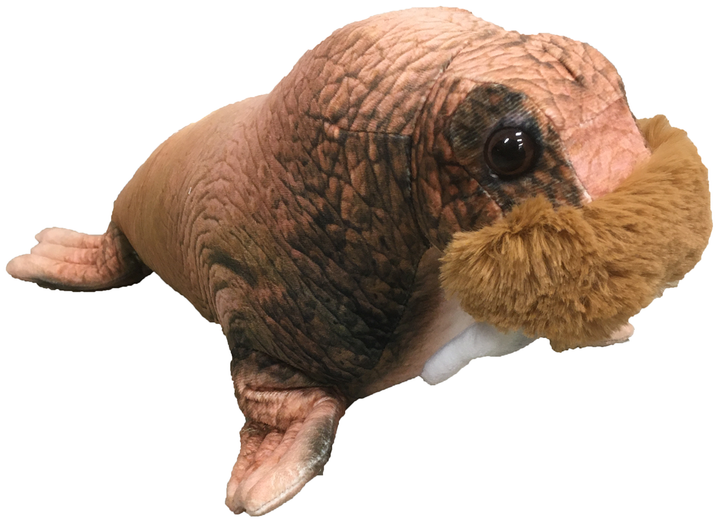 Walrus 16" Plush Aquatic Stuffed Animal - 2