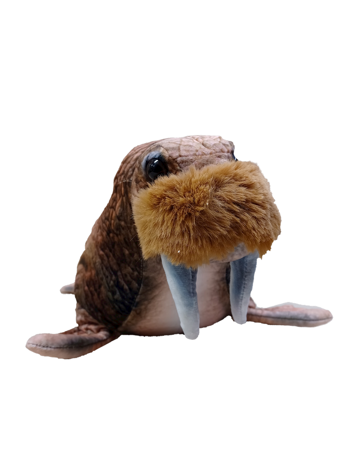 Walrus 16" Plush Aquatic Stuffed Animal - 3