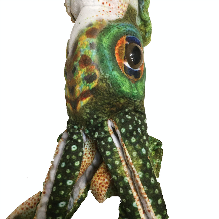 Squid 16" Cuttlefish Aquatic Plush Stuffed Animal Ocean Creature - 3