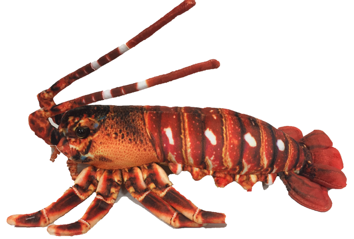 Crawfish Lobster 12.5" Plush Aquatic Stuffed Animal - 4