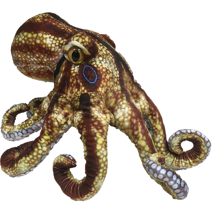 Octopus Aquatic Ocean Plush 10" Stuffed Animal