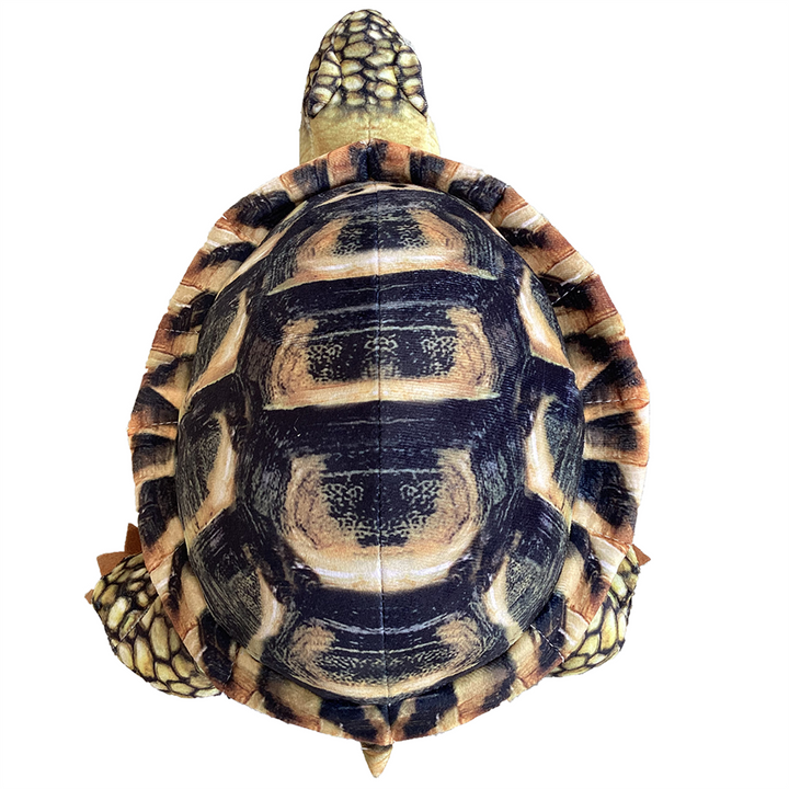 Spurred Tortoise Plush 13" Stuffed Animal - 2