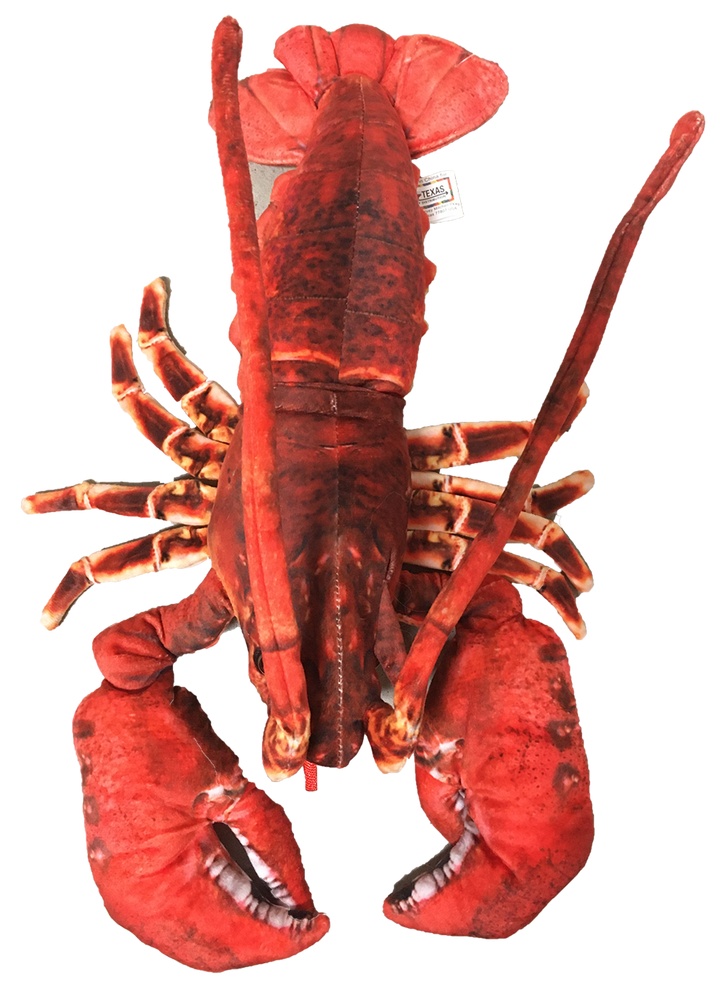 Lobster with Claws 18" Ocean Plush Stuffed Animal - 2