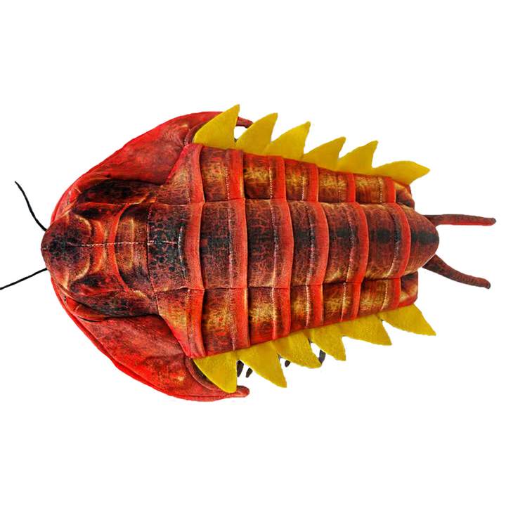 Trilobite Plush 12 Stuffed Animal Collectible Fossil Toy Red - 4