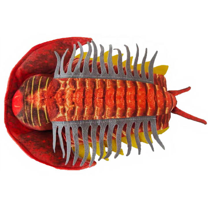 Trilobite Plush 12 Stuffed Animal Collectible Fossil Toy Red - 5