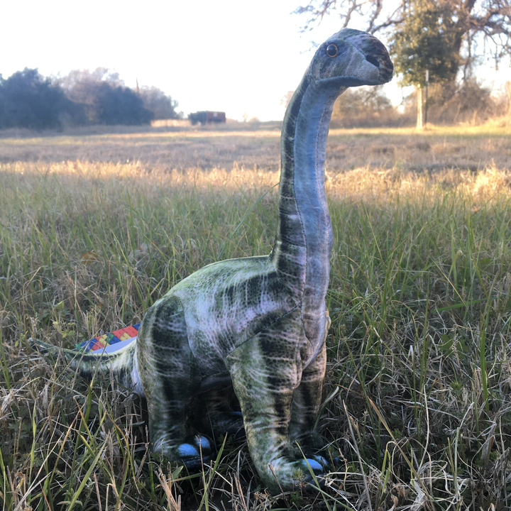 Brontosaurus 16" Dinosaur Plush Stuffed Animal - 4