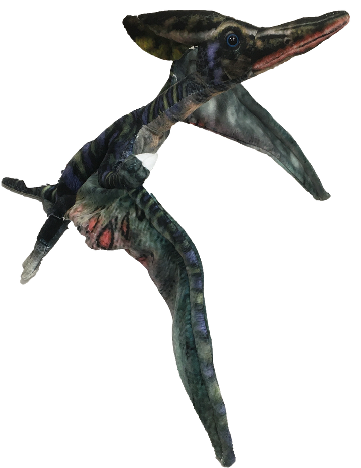 Pterosaur 26" Dinosaur Plush Stuffed Animal - 3