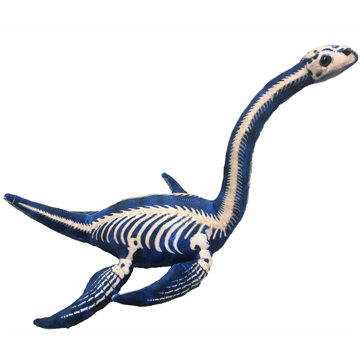 Plesiosaur 12" Plush Dinosaur Stuffed Animal - 3