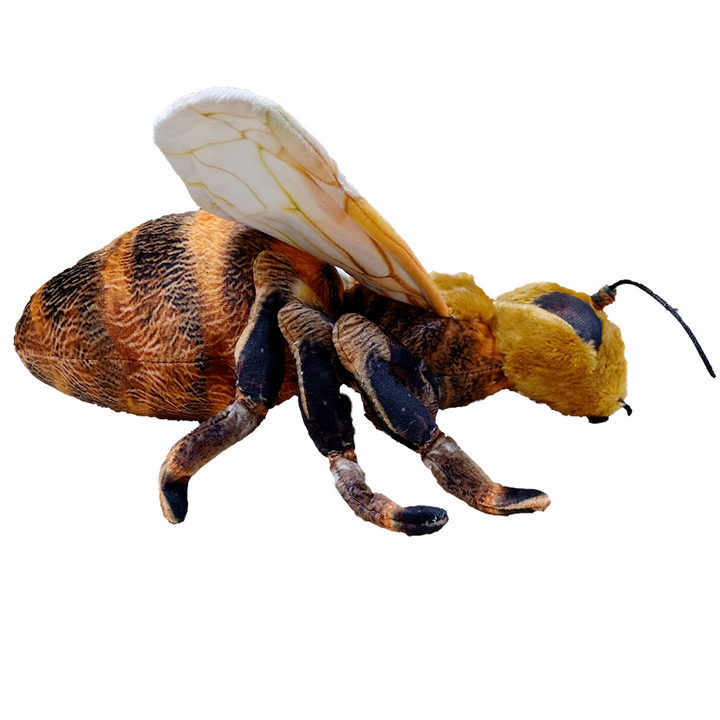 Bee 14" Plush Stuffed Animal - 3