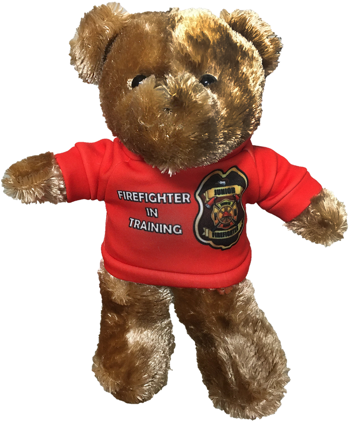 Teddy Bear 11.5 Tall Plush Stuffed Animal Teddy Bear with "Get Well Soon" Shirt - 5