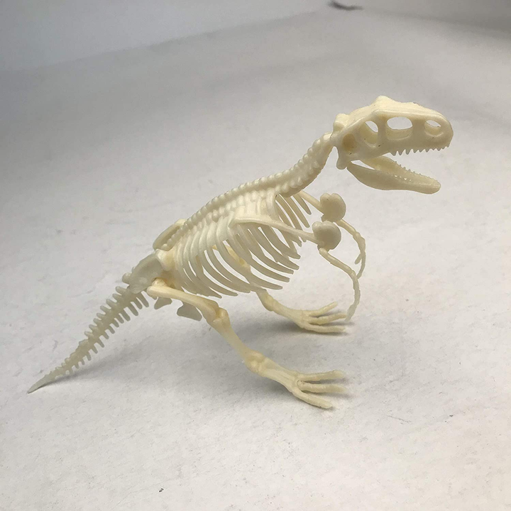 Dinosaur Skeleton Realistic Model Assembly Peggable Kits Stegosaur - 3