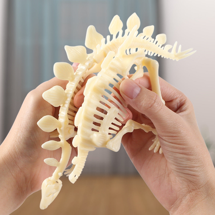 Dinosaur Skeleton Realistic Model Assembly Peggable Kits Stegosaur - 4