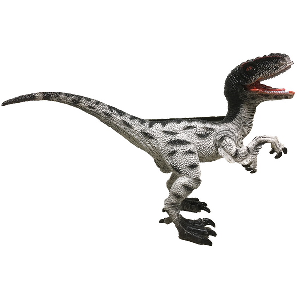 Black and White Velociraptor 6 Painted Resin Dinosaur Model Figure No Display