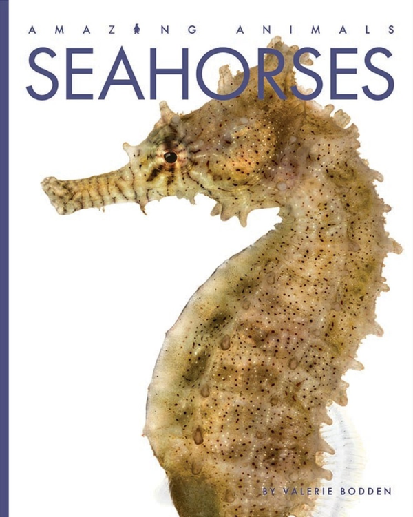 Amazing Animals - Classic Edition Series Paperback Amazing Animals - Classic Edition: Seahorses