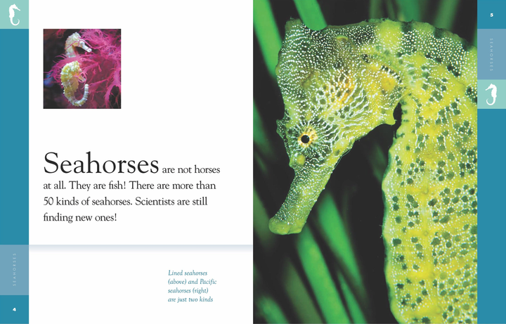 Amazing Animals - Classic Edition Series Paperback Amazing Animals - Classic Edition: Seahorses - 2