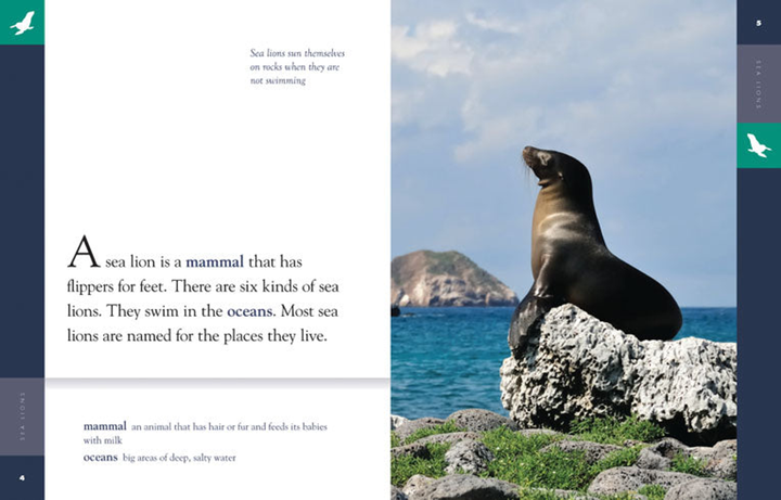 Amazing Animals - Classic Edition Series Paperback Amazing Animals - Classic Edition: Sea Lions - 2