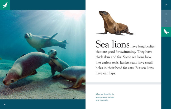 Amazing Animals - Classic Edition Series Paperback Amazing Animals - Classic Edition: Sea Lions - 3