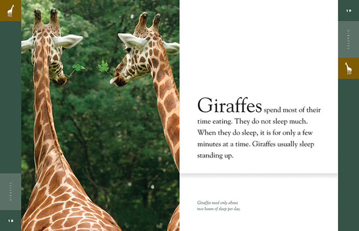 Amazing Animals - New Edition Series Paperback Amazing Animals - New Edition: Giraffes - 2