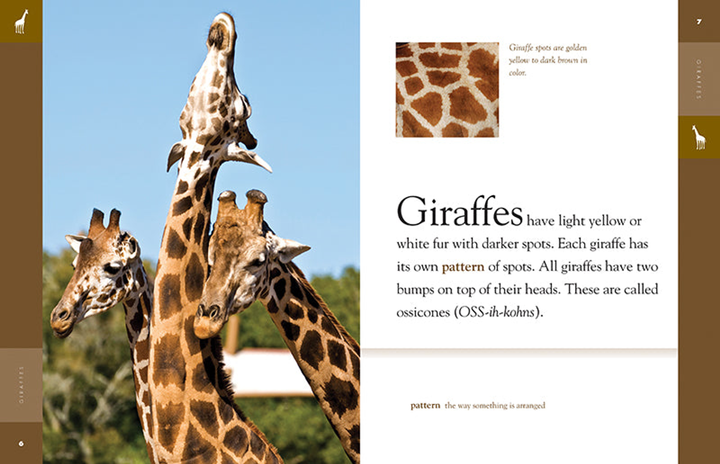 Amazing Animals - New Edition Series Paperback Amazing Animals - New Edition: Giraffes - 3