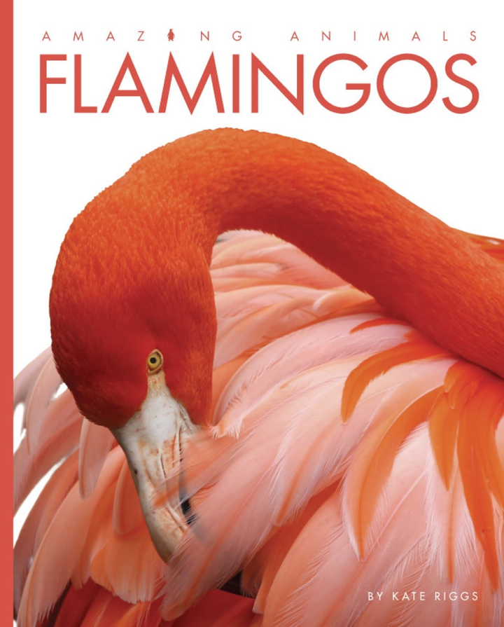 Amazing Animals - Classic Edition Series Hardcover Amazing Animals - Classic Edition: Flamingos