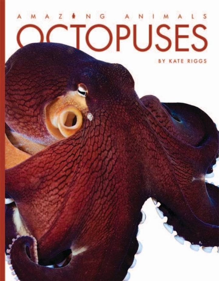 Amazing Animals - Classic Edition Series Paperback Amazing Animals - Classic Edition: Octopuses