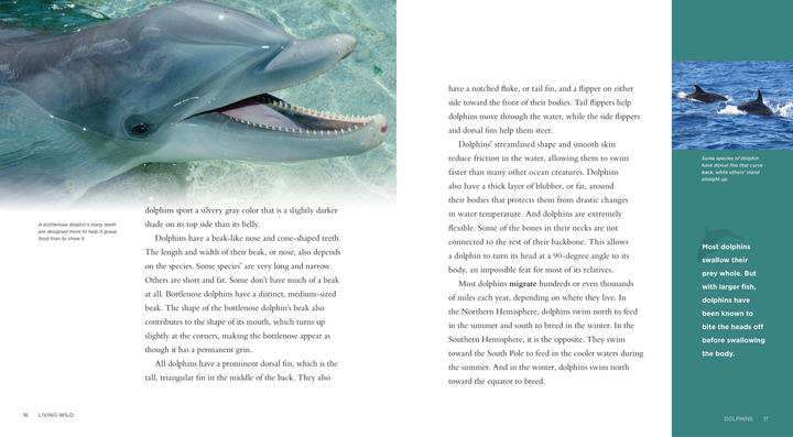 Living Wild Series Hardcover Living Wild: Dolphins - 3