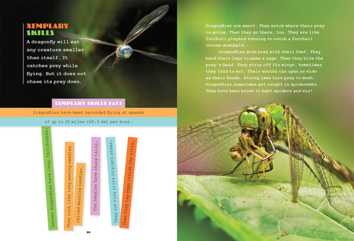 X-Books Series Hardcover X-Books: Insects: Dragonflies - 2