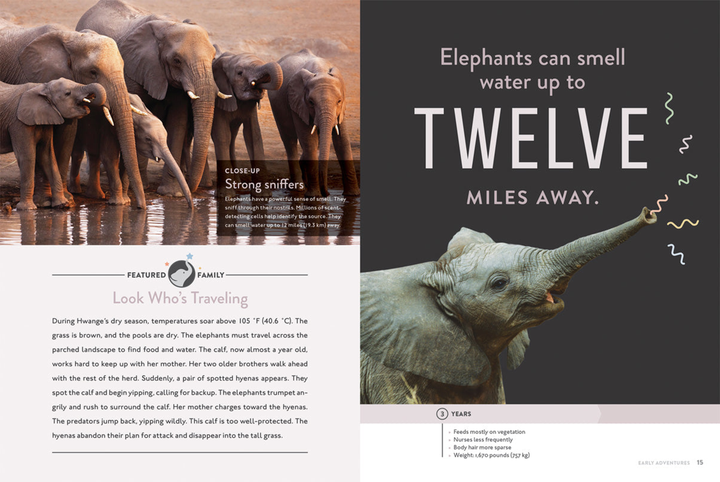 Spotlight on Nature Series Hardcover Spotlight on Nature: Elephant - 3