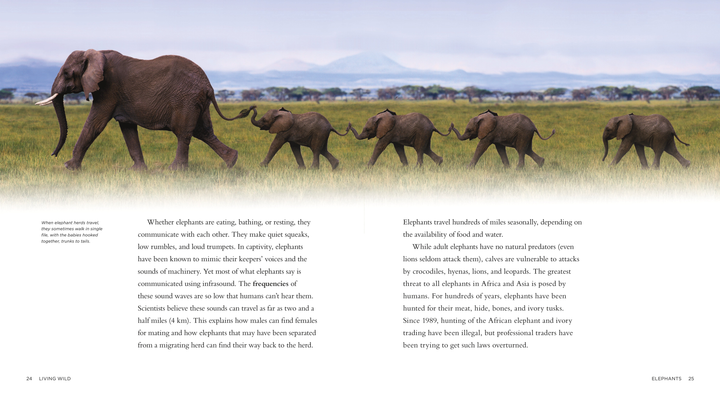 Living Wild Series Hardcover Living Wild: Elephants - 2