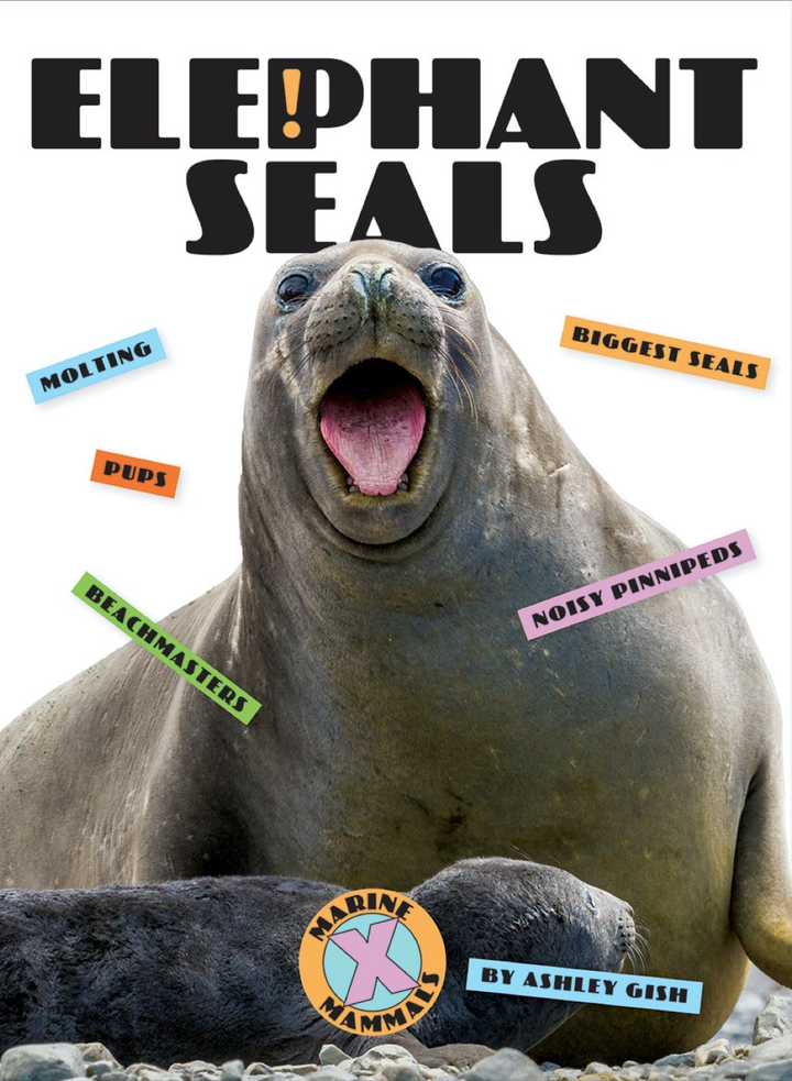 X-Books Series Hardcover X-Books: Marine Mammals: Elephant Seals