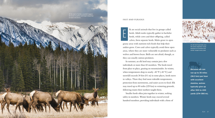 Living Wild Series Hardcover Living Wild: Elk - 2