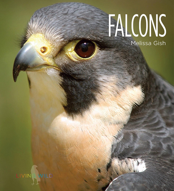 Living Wild Series Hardcover Living Wild: Falcons