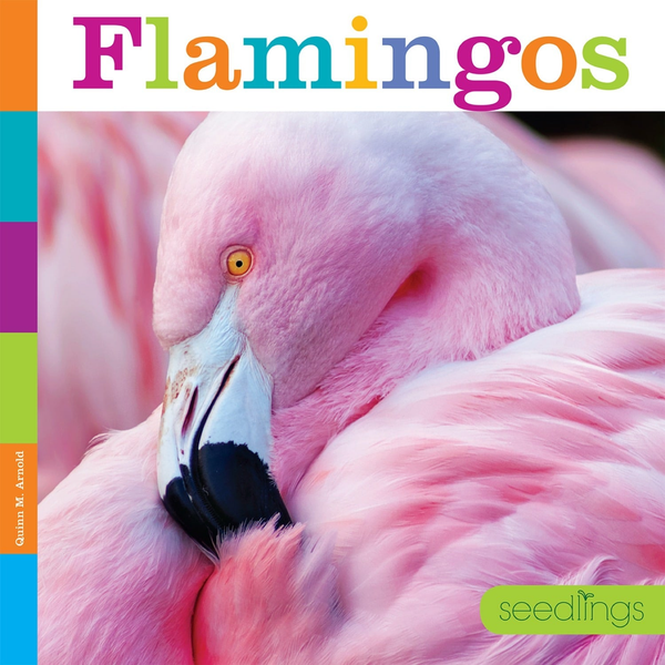 Seedlings Series Hardcover Seedlings: Flamingos