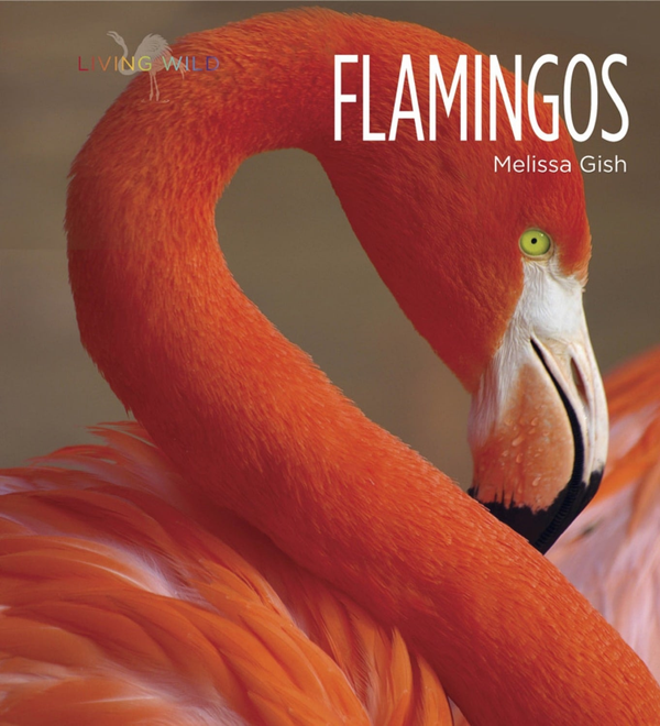 Living Wild Series Hardcover Living Wild: Flamingos