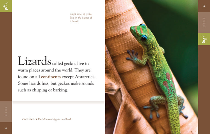 Amazing Animals - Classic Edition Series Hardcover Amazing Animals - Classic Edition: Geckos - 2