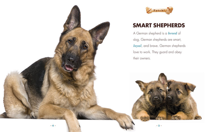 Fetch! Series Hardcover Fetch!: German Shepherds - 2