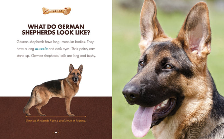 Fetch! Series Hardcover Fetch!: German Shepherds - 3