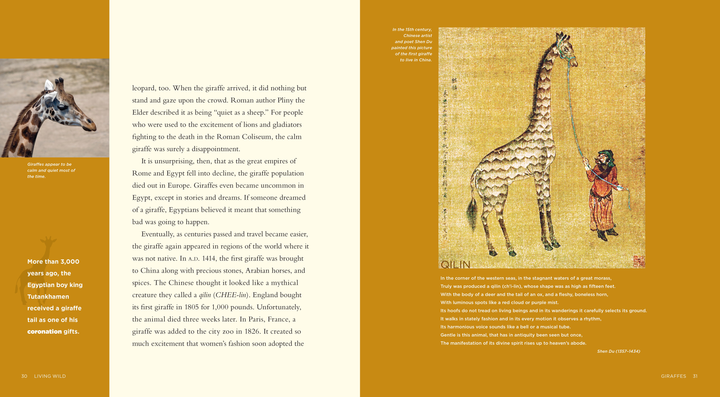 Living Wild Series Hardcover Living Wild: Giraffes - 3