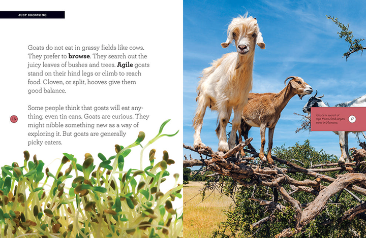 Grow with Me Series Hardcover Grow with Me: Goats - 3