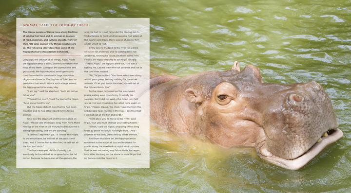 Living Wild Series Paperback Living Wild: Hippopotamuses - 3