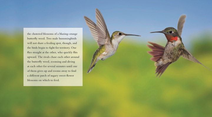 Living Wild Series Hardcover Living Wild: Hummingbirds - 2