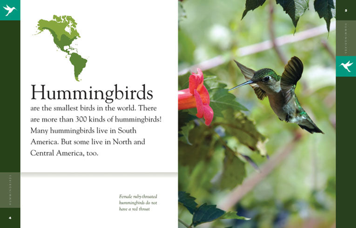 Amazing Animals - Classic Edition Series Hardcover Amazing Animals - Classic Edition: Hummingbirds - 2