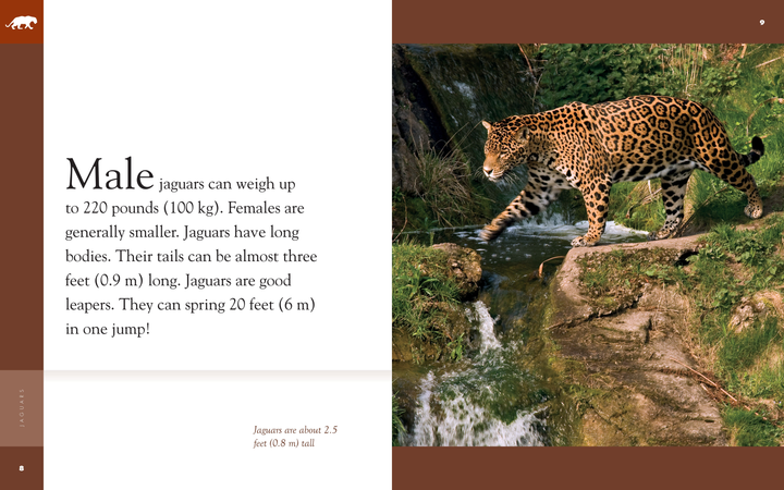 Amazing Animals - Classic Edition Series Hardcover Amazing Animals - Classic Edition: Jaguars - 2