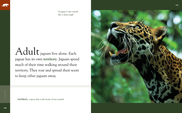 Amazing Animals - Classic Edition Series Hardcover Amazing Animals - Classic Edition: Jaguars - 3