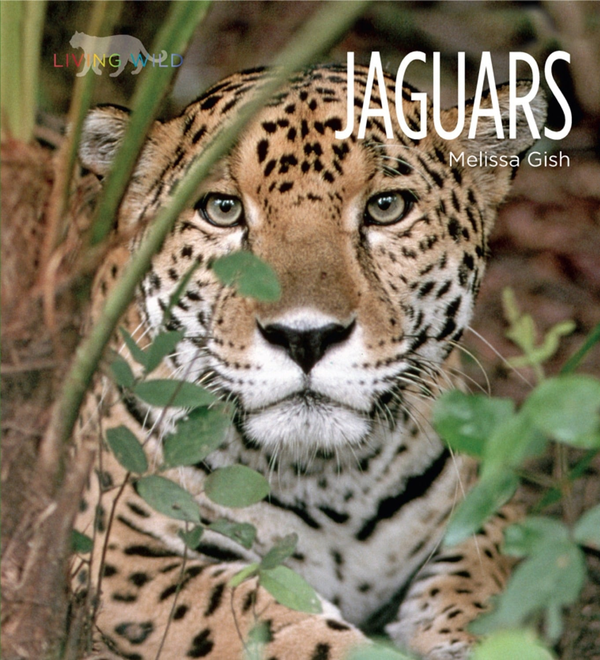 Living Wild Series Hardcover Living Wild: Jaguars