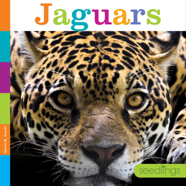 Seedlings Series Hardcover Seedlings: Jaguars