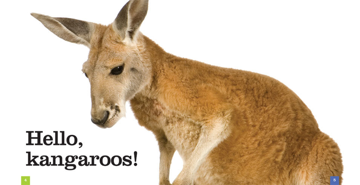 Seedlings Series Hardcover Seedlings: Kangaroos - 2